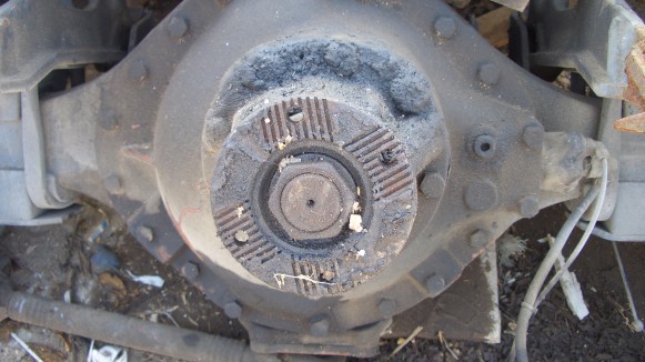 CIMG6564